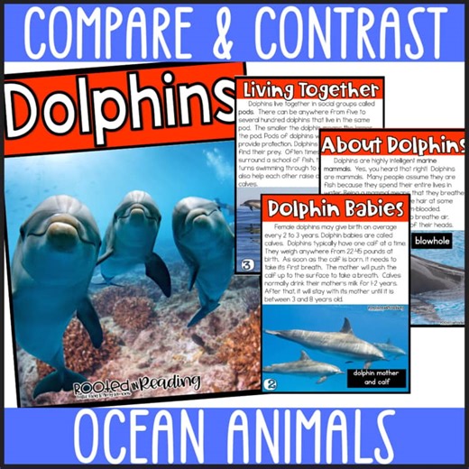 Rooted in Reading Sharks Lesson |Nonfiction Passages & Comprehension Activities