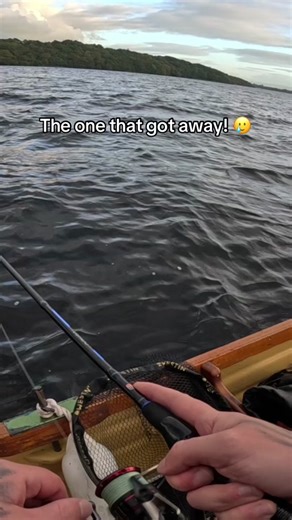 Trout Fishing Adventures: The One That Got Away