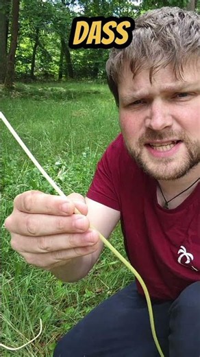 Pfeife aus Löwenzahn bauen schnell gemacht #howto #outdoor #natur