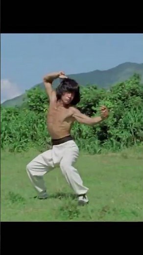 Jackie Chan's Top Fight Scenes: A Showcase of Martial Arts Mastery"