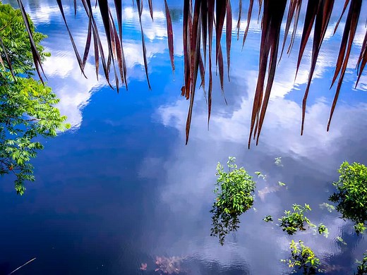 Jungle Clothing: What to Wear in the Amazon Rainforest   Packing List PDF