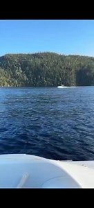 Very interesting �� #bajaboatowners #boatshow #powerboatracing #powerboats #boats #boatinglife #powerboat #powerboattraining #boating #boatsforsale #bajaboats #powerboatnation #powerboatsale #boatlife #boatnation | Baja Boats