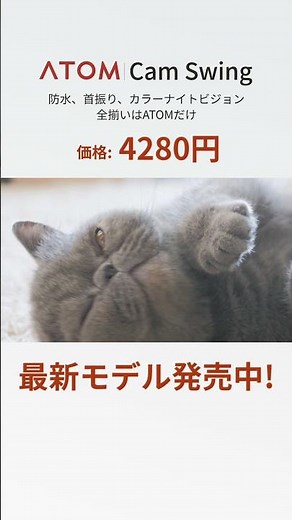 ATOM Cam Swing (アトムカム スイング)