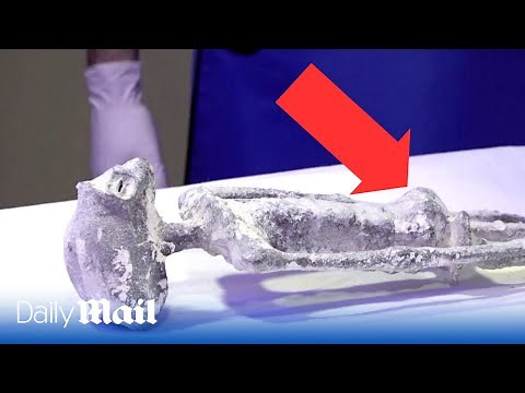 Alleged ‘alien autopsy’ in Mexico: CT scan unveiled body of 'non-human' was 'pregnant' when it died