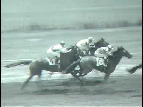 Waterford Park in Chester, West Virginia. July 1959.
