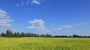 True Story Christian Movies | Christian Movie "Chronicles of Religious Persecution in China" (Documentary)