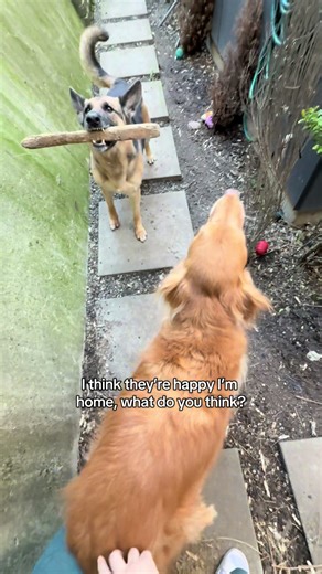 Best part of leaving the house is coming home to this 🥹