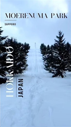 Crazy Deep Snow in Sapporo! Free Entry at Moerenuma Park ❄️ Hokkaido Japow