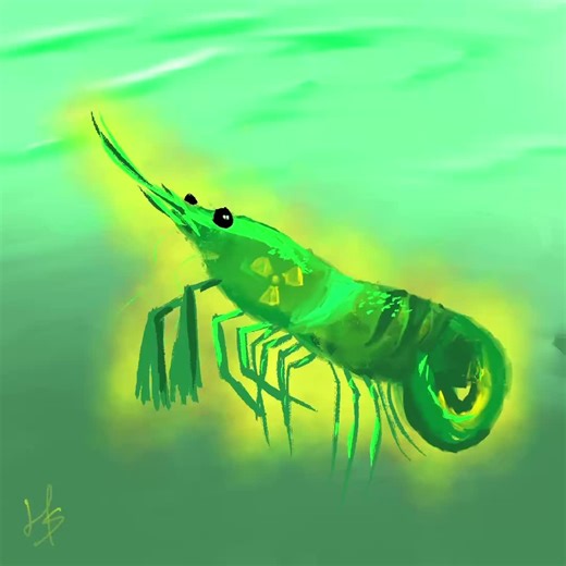 Radioactive Shrimp from Walmart: An Artistic Exploration