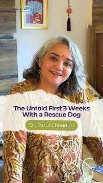 How to Settle a Rescue Dog in a New Home 🐶 | Transition & Care Tips