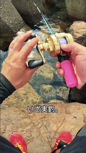 最強ブラクリで穴釣りをしてみた。#穴釣り #釣り #海釣り