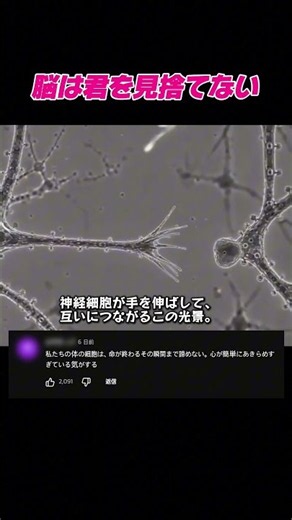 「自分はダメ」と思う間も、脳は学び続けている