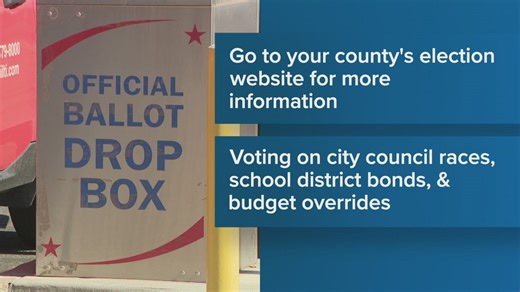 Arizona Election Day 2025: Here's what's on the ballot