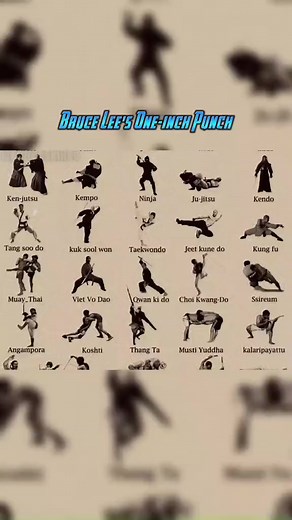 9.4K views · 414 reactions | Bruce Lee One Inch Punch | Self-defense Drills | Facebook