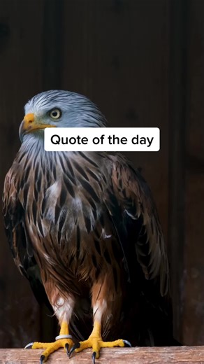 Yo this one crazy 💀 Follow for more daily random quotes!! #fyp #darkhumour #quoteoftheday #quotes #funnyquotes