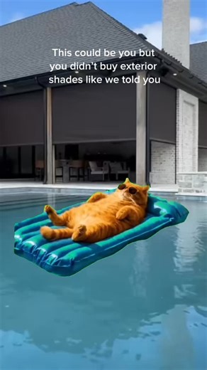 Motorized exterior shades for your outdoor space, like a patio or cabana, makes life simple. Watch from your pool with the click of a button, either on the remote or your phone. Exterior shades do the following: ✅Keeps bugs out ✅Provides sun protection ✅Provides shade ✅Can withstand 45mph winds If you want to learn more on exterior shades, call 631-423-5782 #exteriorshades #backyardgoals #windowtreatments #dreambackyard #pool #dreampool #poolcabana #outdoorpatio | Homestead Window Treatments of 