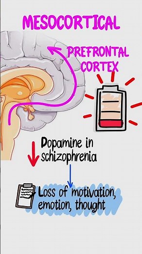 Dopamine Pathways Explained 🧠 | 4 Roads to Madness for USMLE Step 1 & Step 2