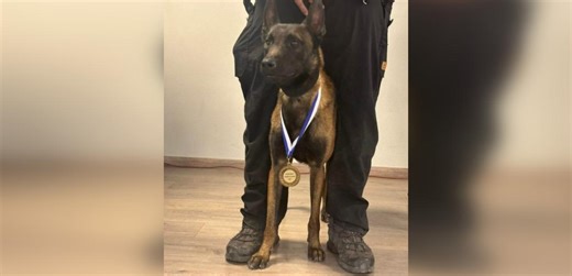 Σύλλογος «Τέμπη 2023» / Οι συγγενείς των θυμάτων πλήρωσαν τα χρήματα για να βρεθεί η αιτία θανάτου του Echo