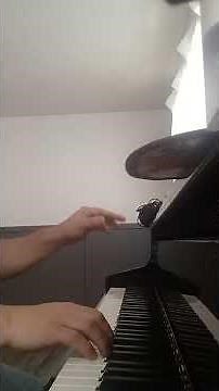 Minuet and Trio from Viennese Sonatina no. 1 by MOZART. performed by Danny Bedrosian #mozart