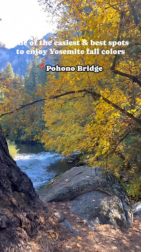 3.5K views · 107 reactions | Yosemite Valleys Pohono Bridge, and the Yosemite Valley Loop, Trail that sets off from the edge of this bridge is always a stunning spot to enjoy the parks fall foliage. See my blog post for the best Yosemite fall color spots https://www.flyingdawnmarie.com/new-blog/yosemite-fall-color-report-102725 #yosemitenationalpark #yosemite | Flyingdawnmarie | Facebook