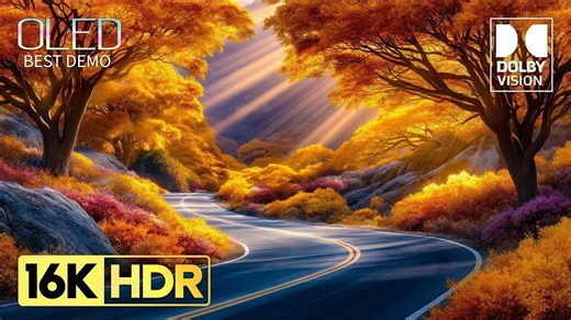 【16K HDR 杜比视界实拍】OLED演示大片 | Dolby Atmos沉浸音乐 | 自然放松风光 【超清画质测试合集】16K HDR 120FPS 杜比