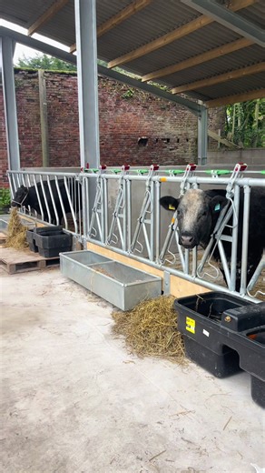 Exploring UK Farming with Content Coos