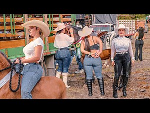 ONLY BEAUTIFUL WOMEN AT THE HORSE PARADE IN COLOMBIA 🔥