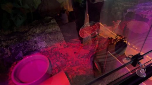 ✅ John Carpenter's Toxic Commando | Unboxing Care Package from Devs 🎡 Spins !drops !schedule