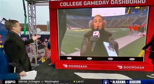 ESPN Reporter Jess Sims Unleashes Vulgar Language While Describing The Cold Weather At Michigan-Ohio State Game [VIDEO]