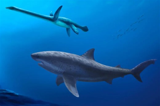 Researchers say monstrous shark ruled ancient seas before megalodon