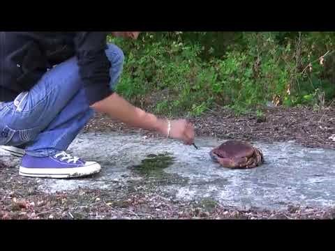 Two beautiful women with converse