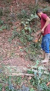 Defer Artesanatos on Reels