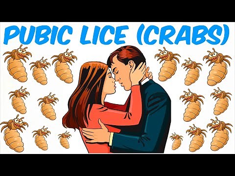 Pubic Lice EXPOSED: The Truth About Crabs & How to Get Rid of Them!