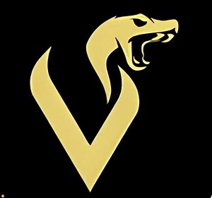 V75 1s Viper EA MT5: Scalping Expert Advisor - Volatility 75 Index - Etsy