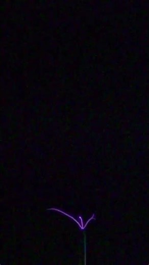 Teslův transformátor ve slow motion: fraktální vývoj výboje | Jan Rak ELLIA