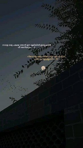 ___writing___girl on Instagram: "...🤍... #lovequotes#sad#sadness#love#loveyourself #lovelife #life#lifequotes#dippretion #deats#breakup#loveforever#qoutes#sadness#sadquotespage #couple#breakupquotes#emotions"