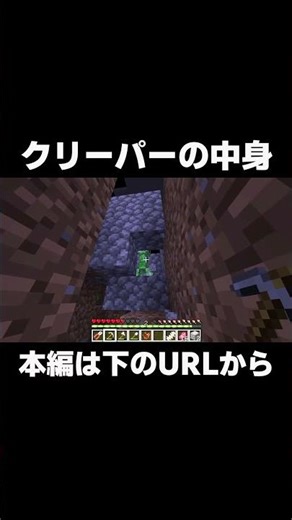 Minecraft: You can see inside the bodies of mobs