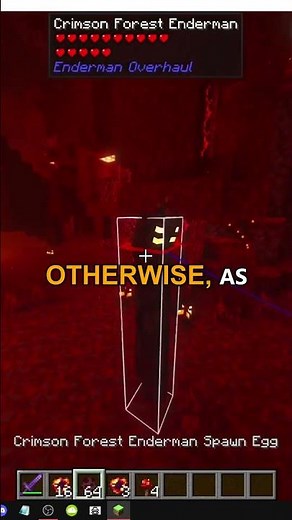 HOW THE CRIMSON FOREST ENDERMAN WORKS IN MINECRAFT Enderman Overhaul
