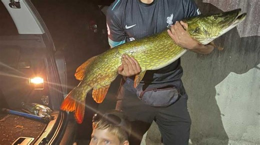 VIDÉO. « Un monstre » : ces jeunes pêcheurs attrapent un brochet de plus d'1,10 m en Ille-et-Vilaine