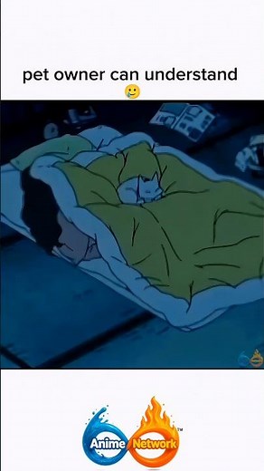 every cat lover can understand 😂 #animenetwork #anime #viral #funny #animeedit #trending
