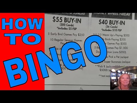 BINGO💙😍 HOW TO'S-💰 I WILL EXPLAIN IT ALL😍