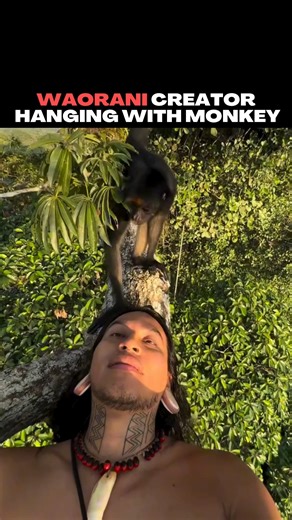 Waorani activist, Moi Guiquita, captures an incredible moment while relaxing at the top of a tree when a monkey stops by to hang out! Video credit: /@moiguiquita #culture #tribe #amazonas #wow #fblifestyle | Unrestricted Borders
