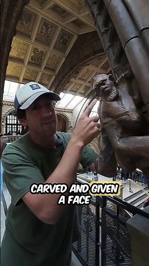 Darwin monkeys carved inside the Natural History Museum