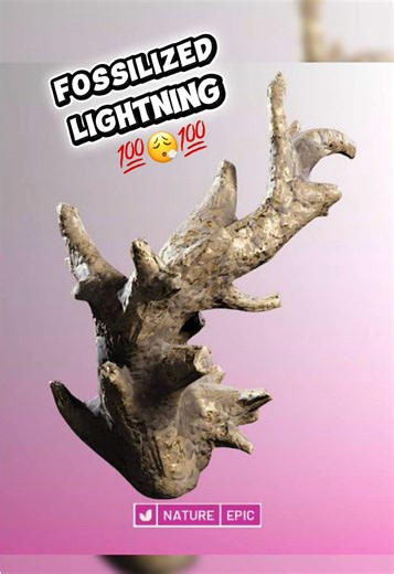 Arc Raiders Rarest Item💯😮‍💨💯#arc #raiders #arcraiders #rare #treasure