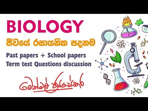 Biology Theory 2026 - Chemical basis questions discussion