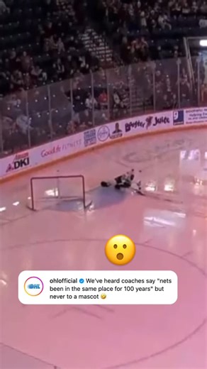 ESPN on Instagram: "Mascot just powered through it 😅 (via @ohlicedogs, @ohlofficial)"