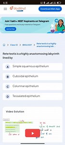 Rete testis is a highly anastomosing labyrinth lined byA. Sim... | Filo