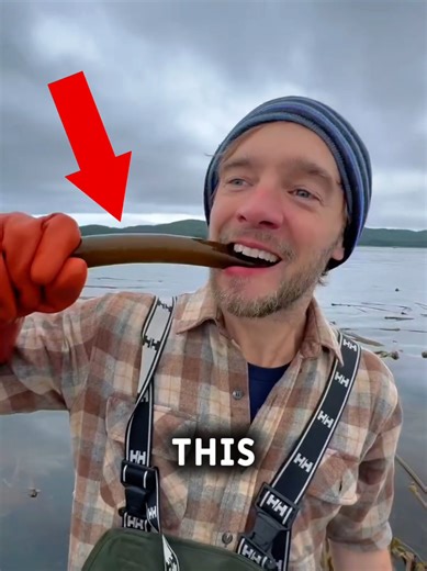 Discover the Unique Living Air-Horn of Alaska's Coast