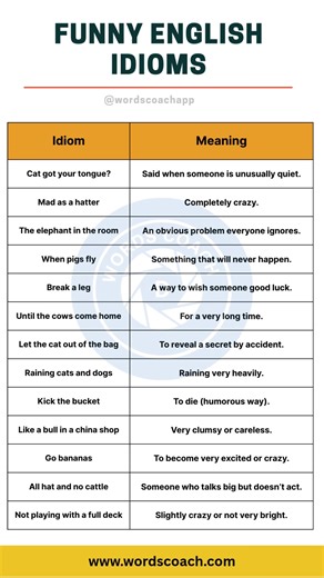 Words Coach on Reels