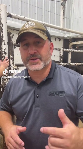 Wild Country Meats on TikTok